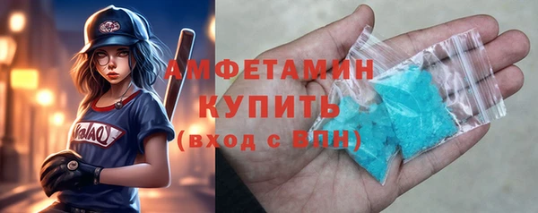 индика Белокуриха