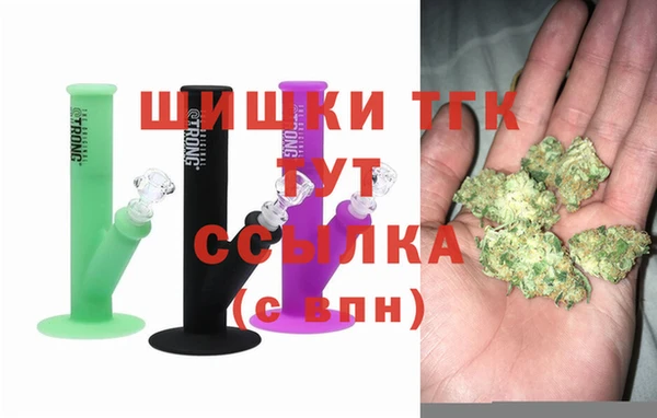 индика Белокуриха