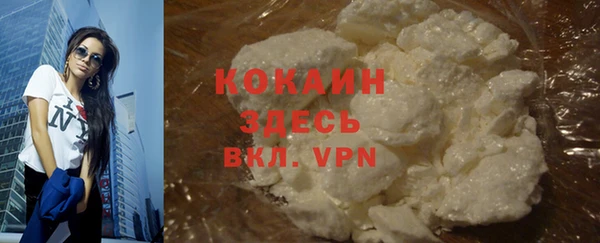 индика Белокуриха