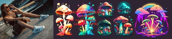 индика Белокуриха