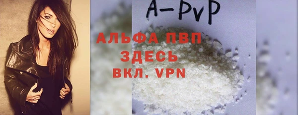 индика Белокуриха