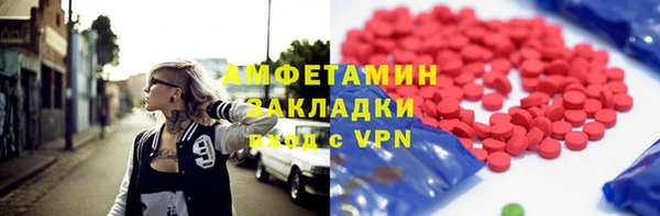 индика Белокуриха