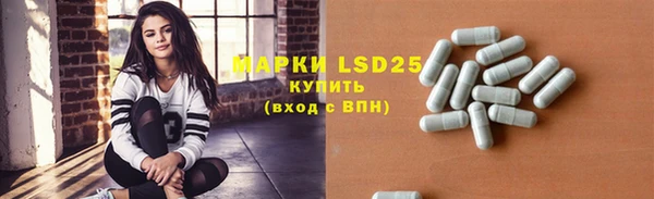 индика Белокуриха