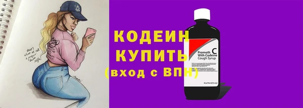 индика Белокуриха